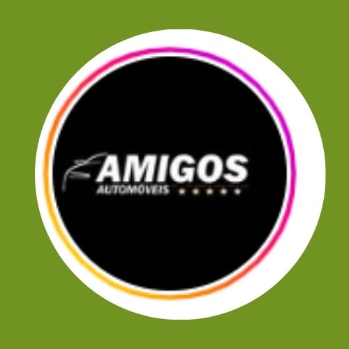 AMIGOS VEICULOS