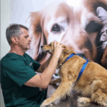 SEMEVET- CENTRO VETERINÁRIO