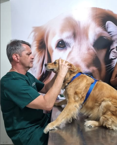 SEMEVET- CENTRO VETERINÁRIO