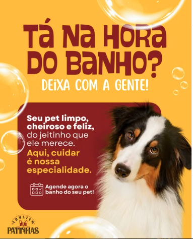 Banho e tosa
