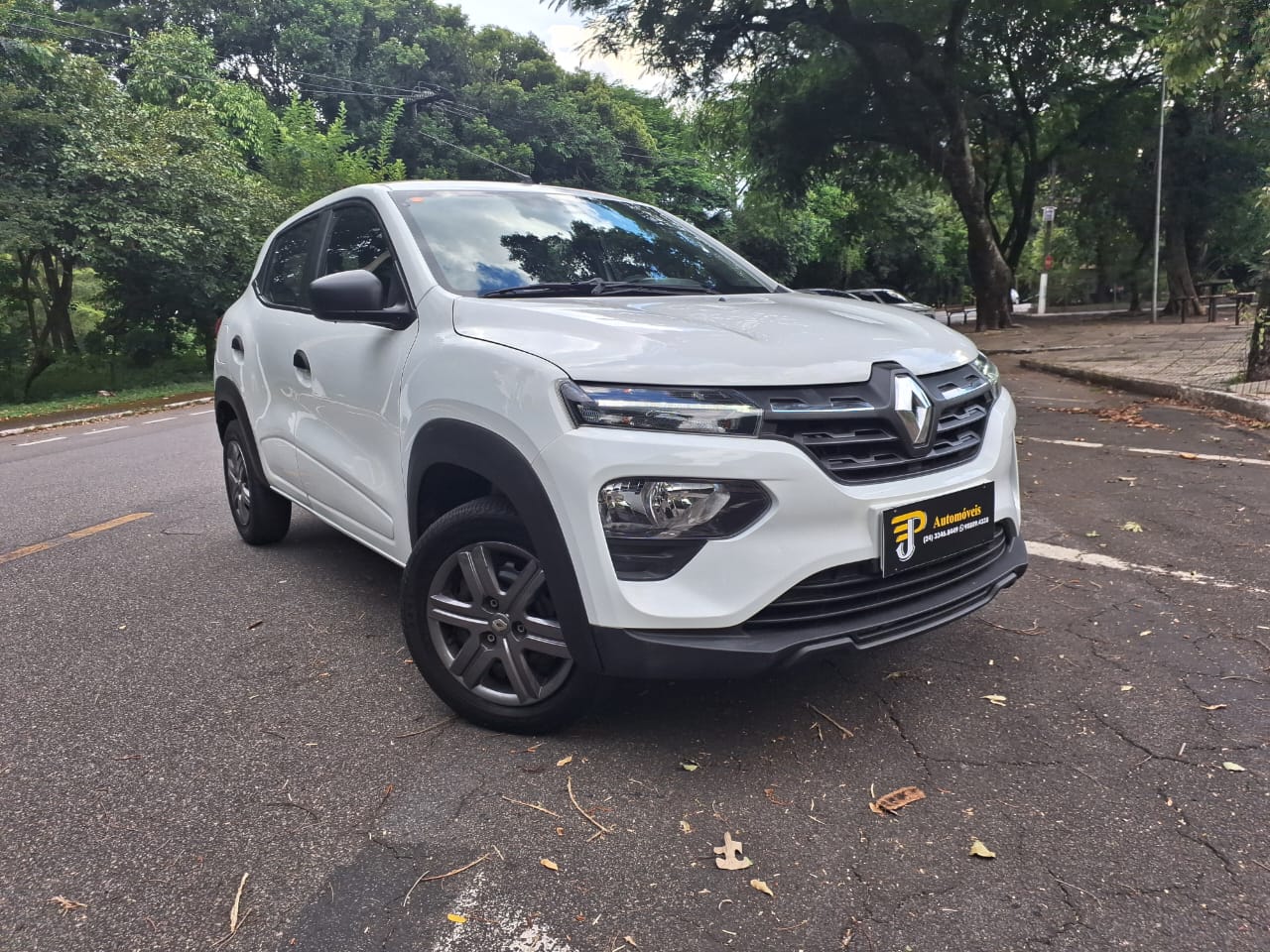 KWID 2024 ZEN 1.0