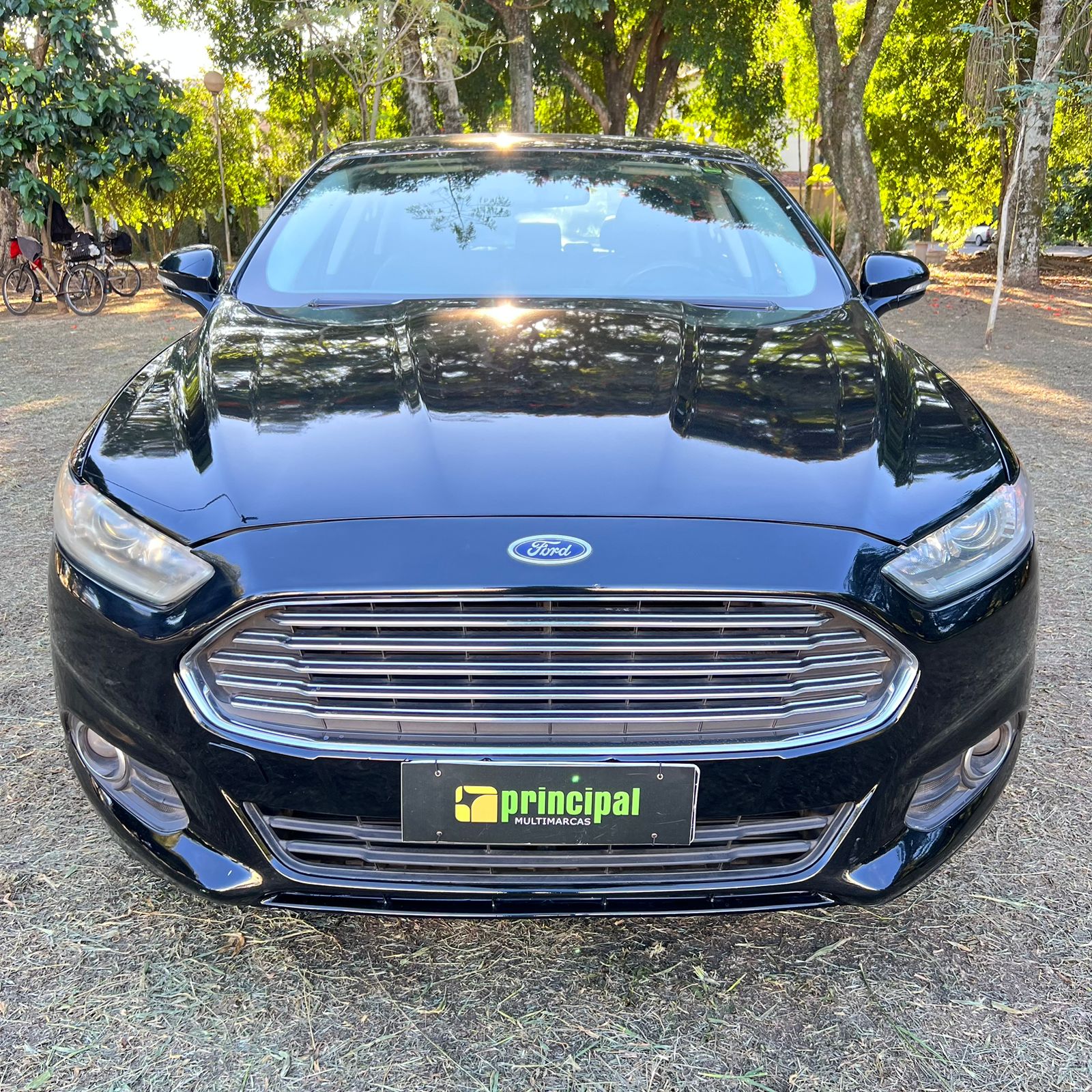 Fusion Flex 2.5 2016